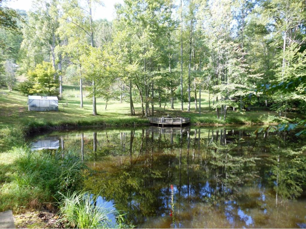243 High Rock Road Rogersville, TN 37857 - Photo 19 of 23 Photo 19