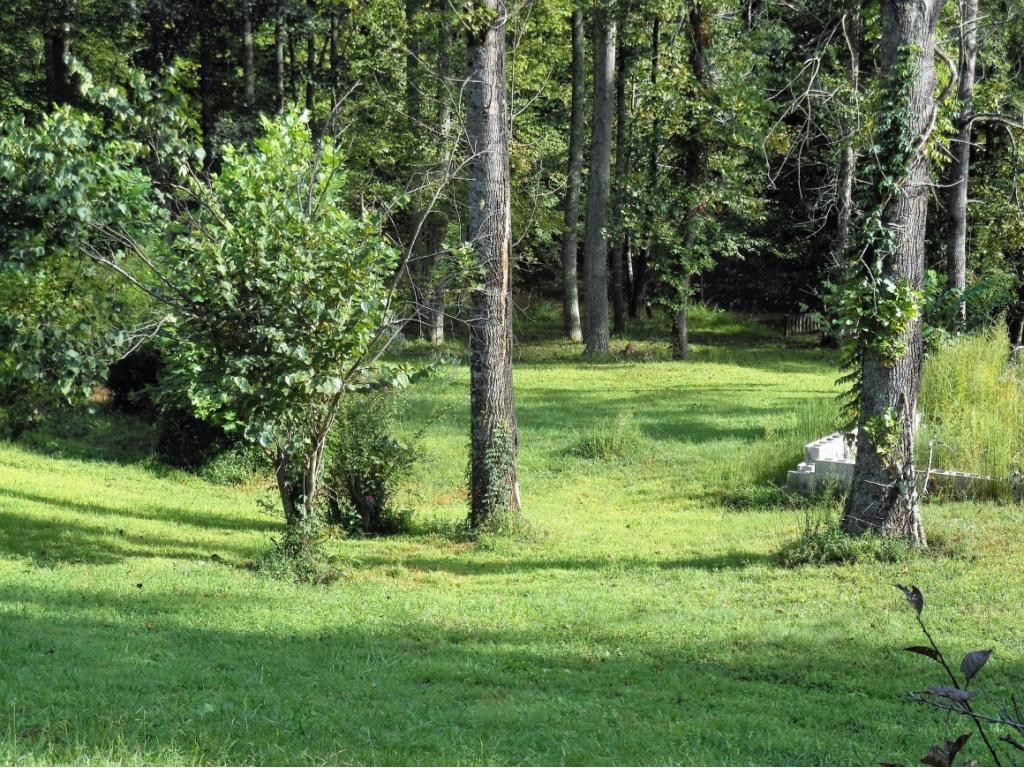 243 High Rock Road Rogersville, TN 37857 - Photo 20 of 23 Photo 20
