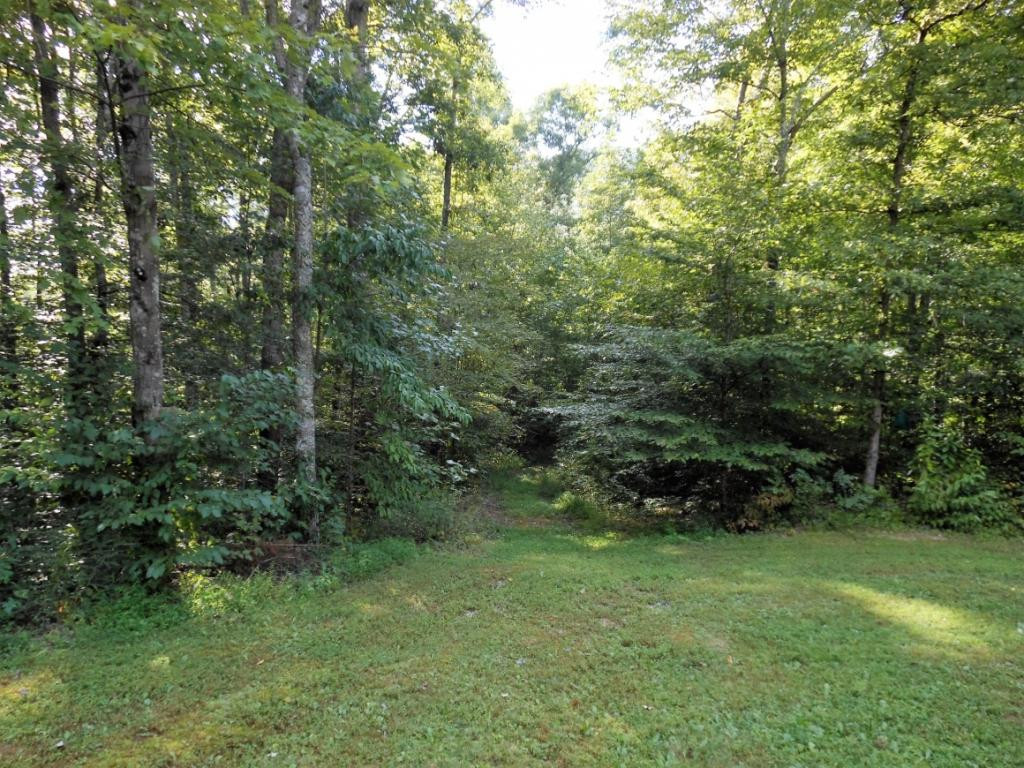243 High Rock Road Rogersville, TN 37857 - Photo 21 of 23 Photo 21
