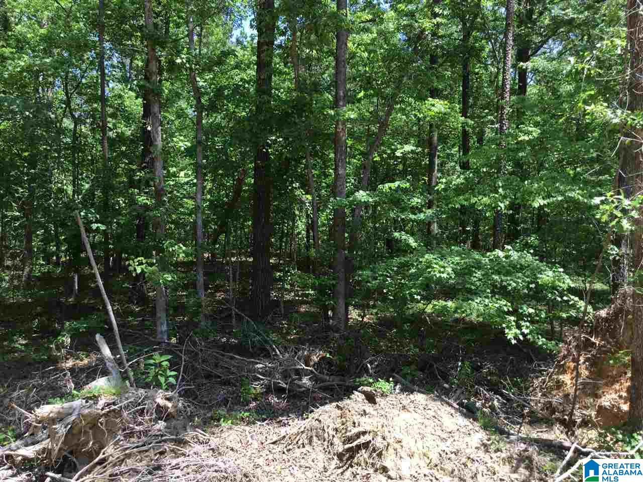 7237 Joinertown Road, Unit 7 09 ACRES Columbiana, AL 35051 - Photo 10 of 17