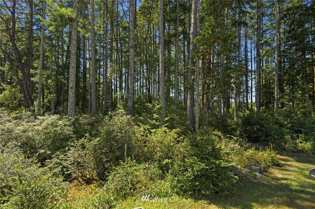 9925 Misery Point Road Northwest Seabeck, WA 98380 - Photo 36 of 36 Gallery Image 36