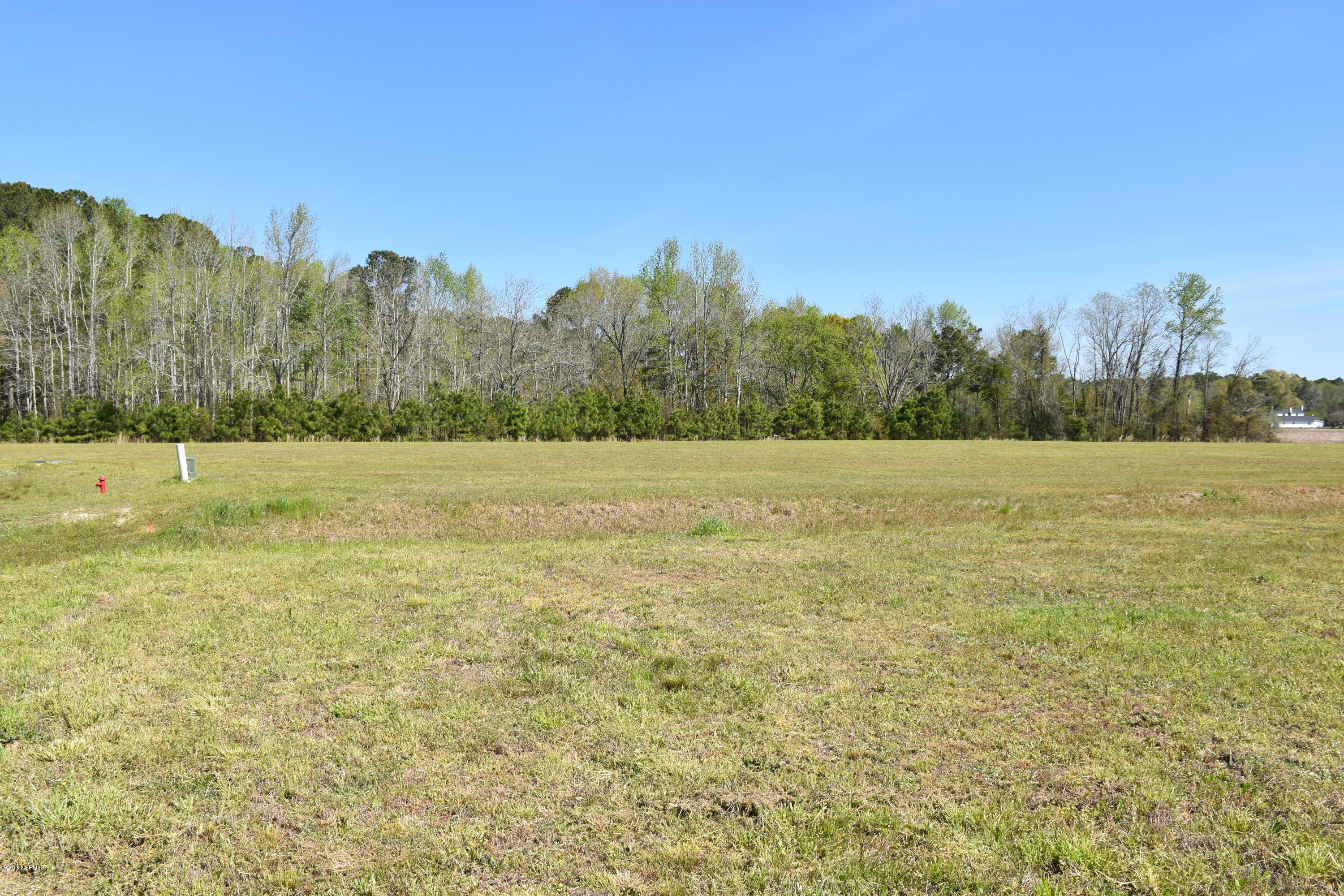 35 State Road Pinetown, NC 27865 - Photo 3 of 14 Cleared and ready for building