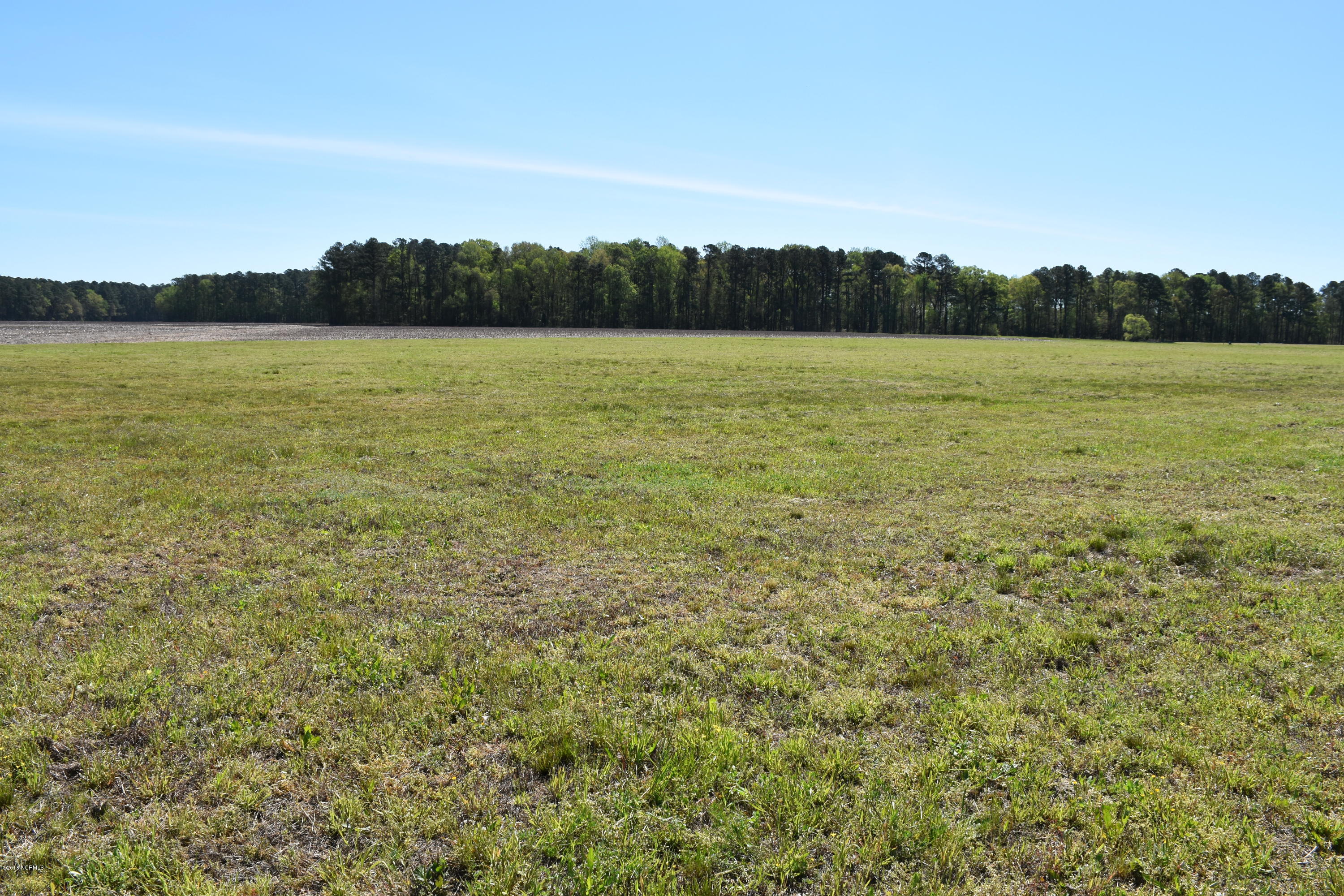 35 State Road Pinetown, NC 27865 - Photo 4 of 14 Lot 35