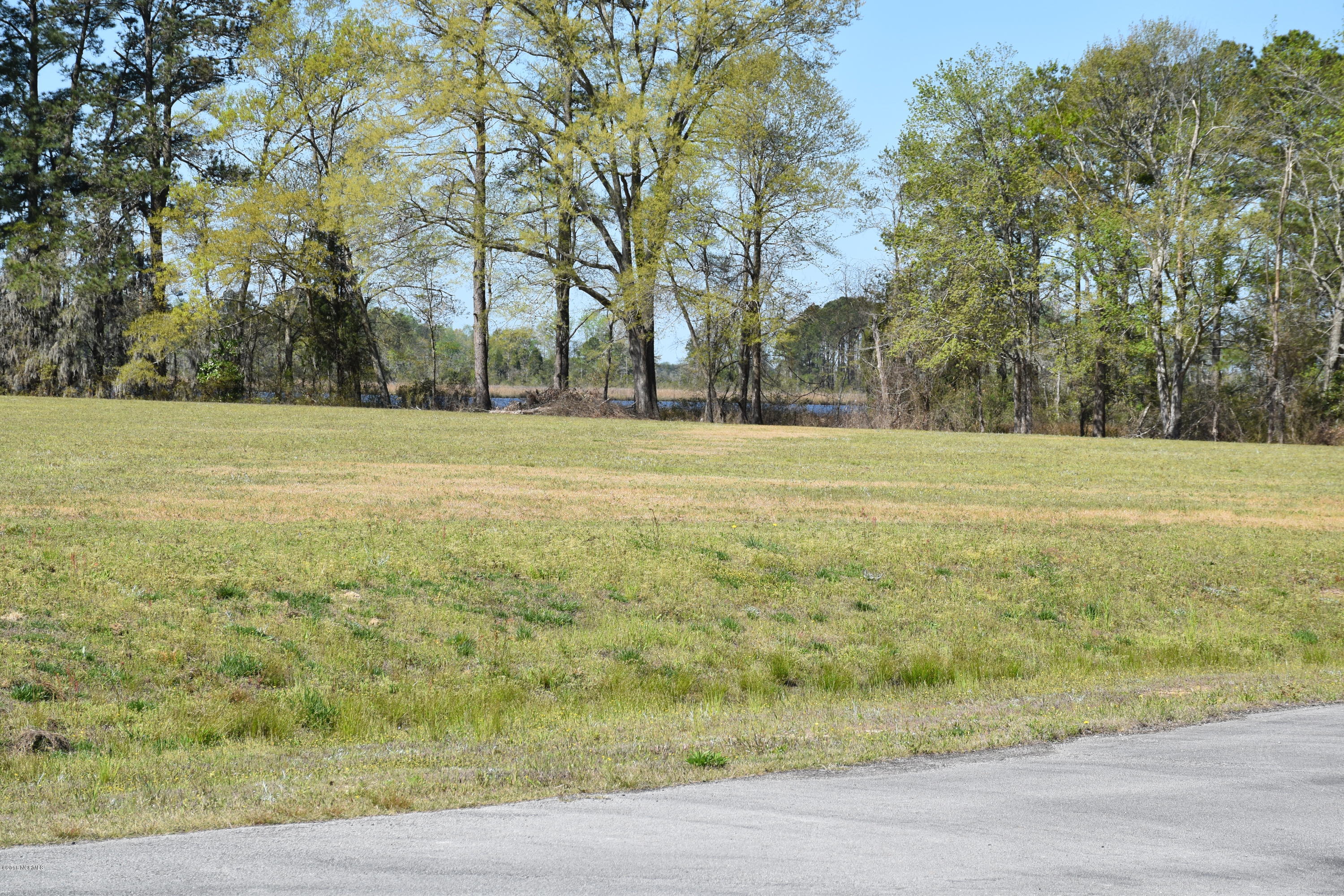 35 State Road Pinetown, NC 27865 - Photo 5 of 14 looking across the street