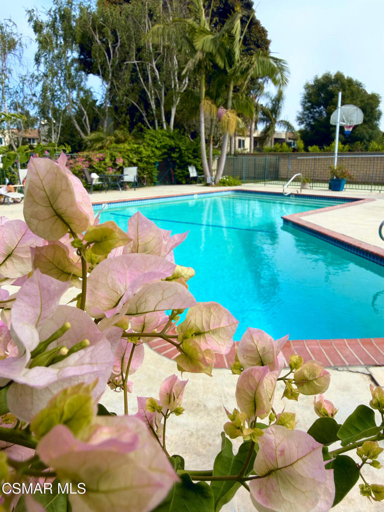 6441 Kanan Dume Road Malibu, CA 90265 - Photo 23 of 33