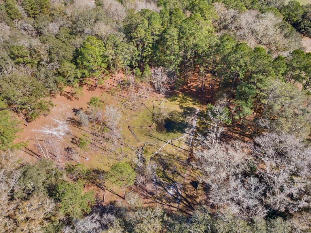 0 McDaniel Road Perry, FL 32347 - Photo 3 of 11
