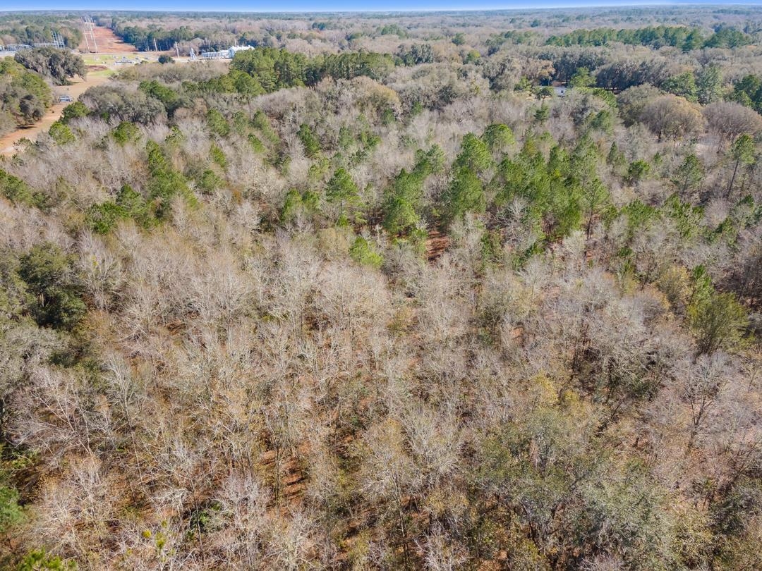 0 McDaniel Road Perry, FL 32347 - Photo 4 of 11