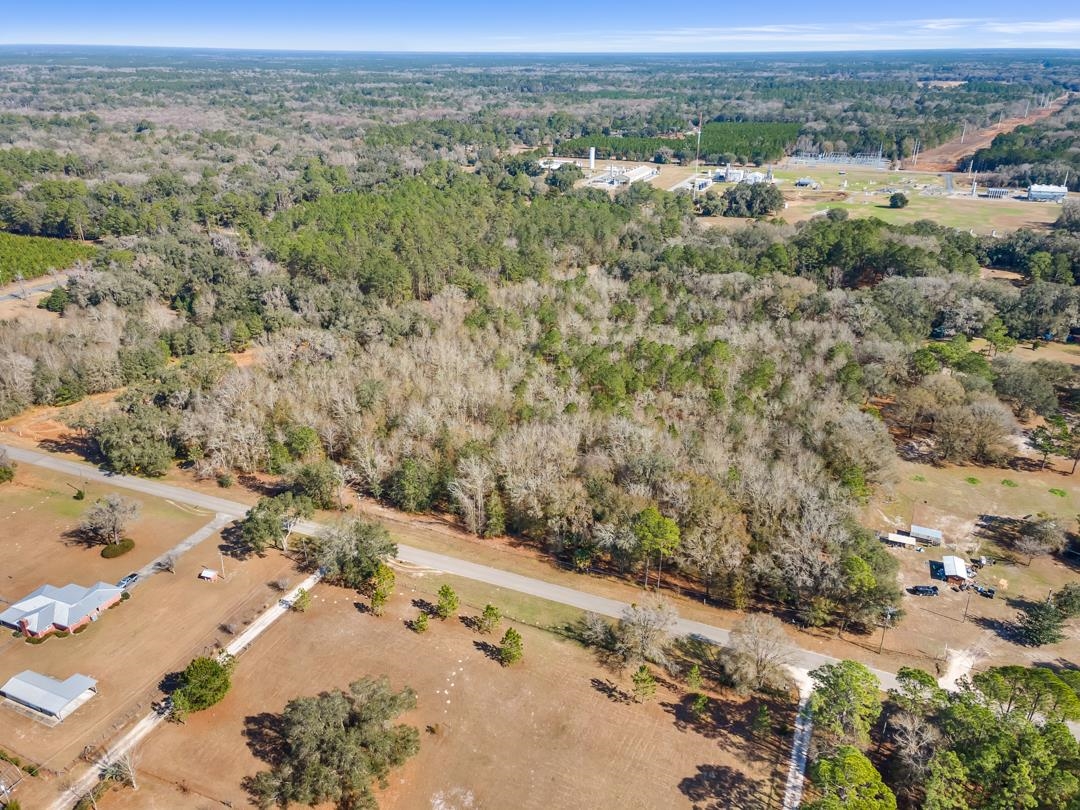 0 McDaniel Road Perry, FL 32347 - Photo 7 of 11
