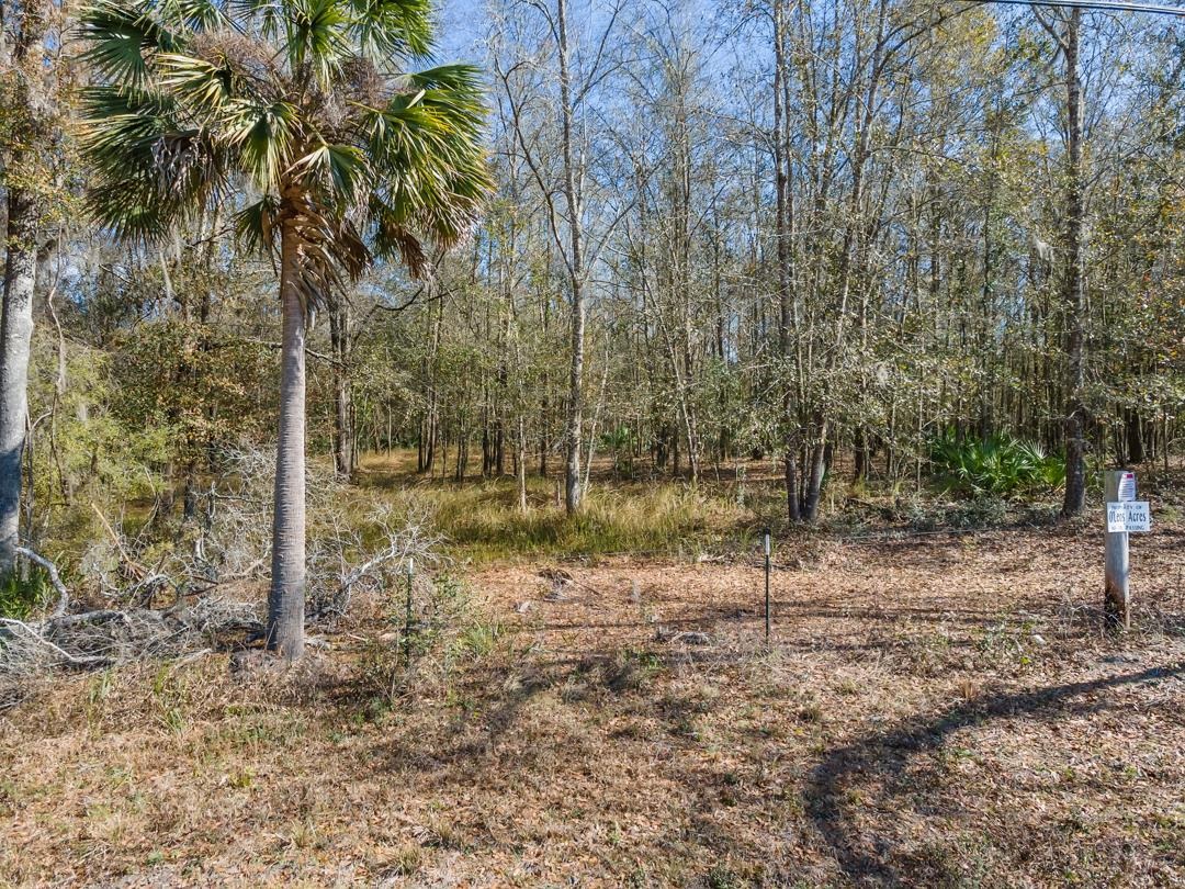 0 McDaniel Road Perry, FL 32347 - Photo 8 of 11