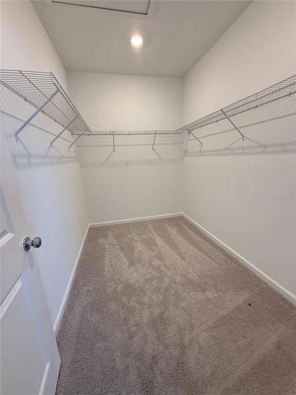 2332 Rider Rain Lane Apopka, FL 32703 - Photo 16 of 20