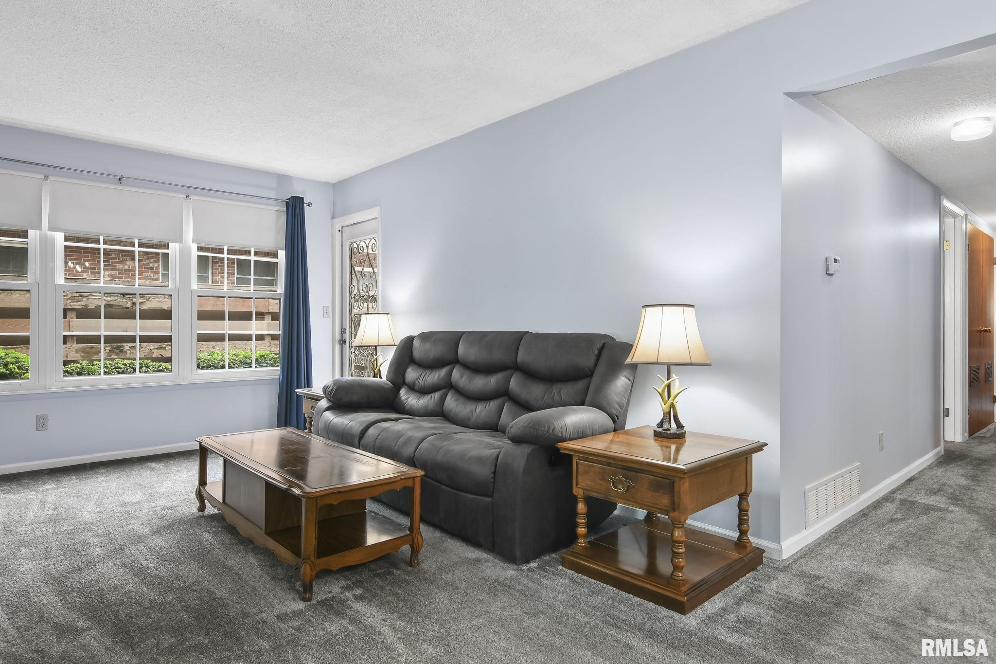 160 # 9 N Durkin Drive Springfield, IL 62704 - Photo 3 of 29