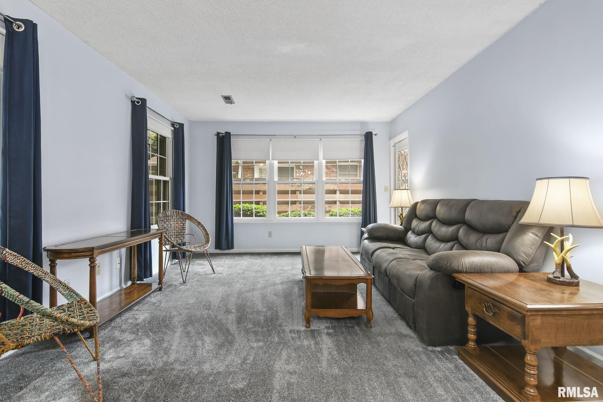 160 # 9 N Durkin Drive Springfield, IL 62704 - Photo 7 of 29
