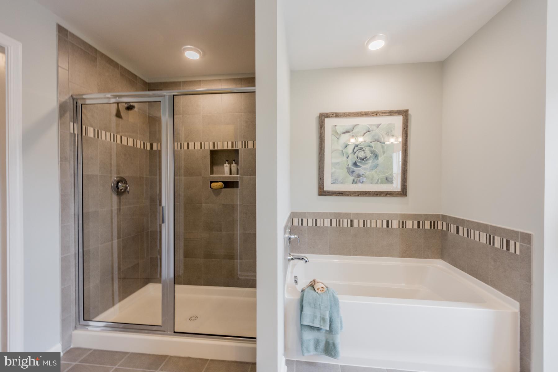 8140 Ridgely Loop Severn, MD 21144 - Photo 19 of 30 Bath (Master)