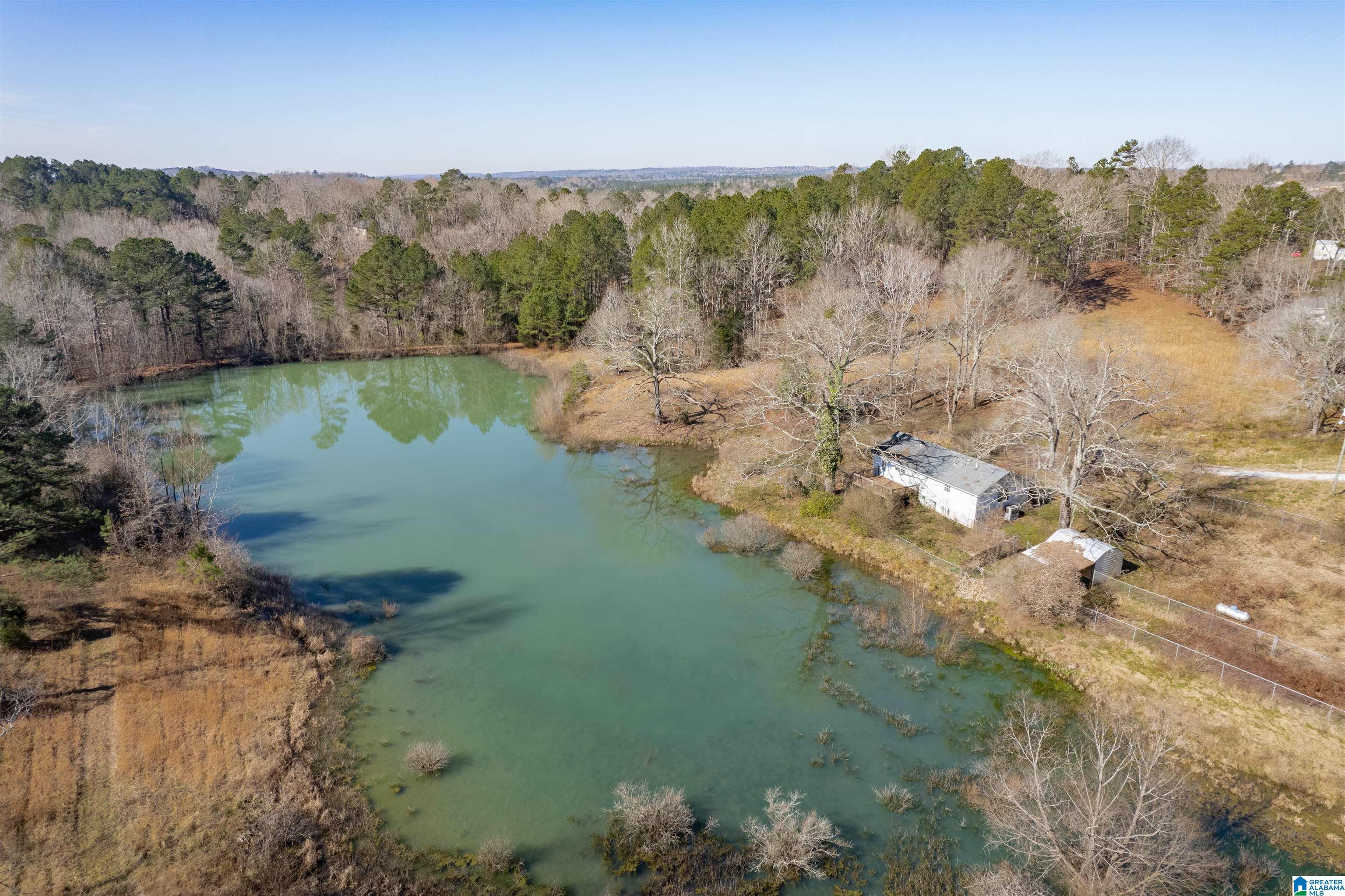 195 Wyatt Lake Road Odenville, AL 35120 - Photo 6 of 16