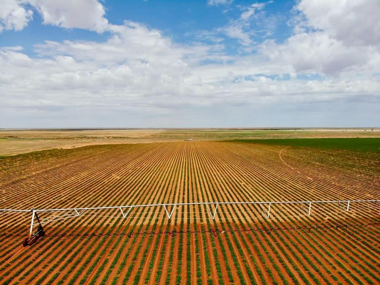 a view of an ocean from a balcony