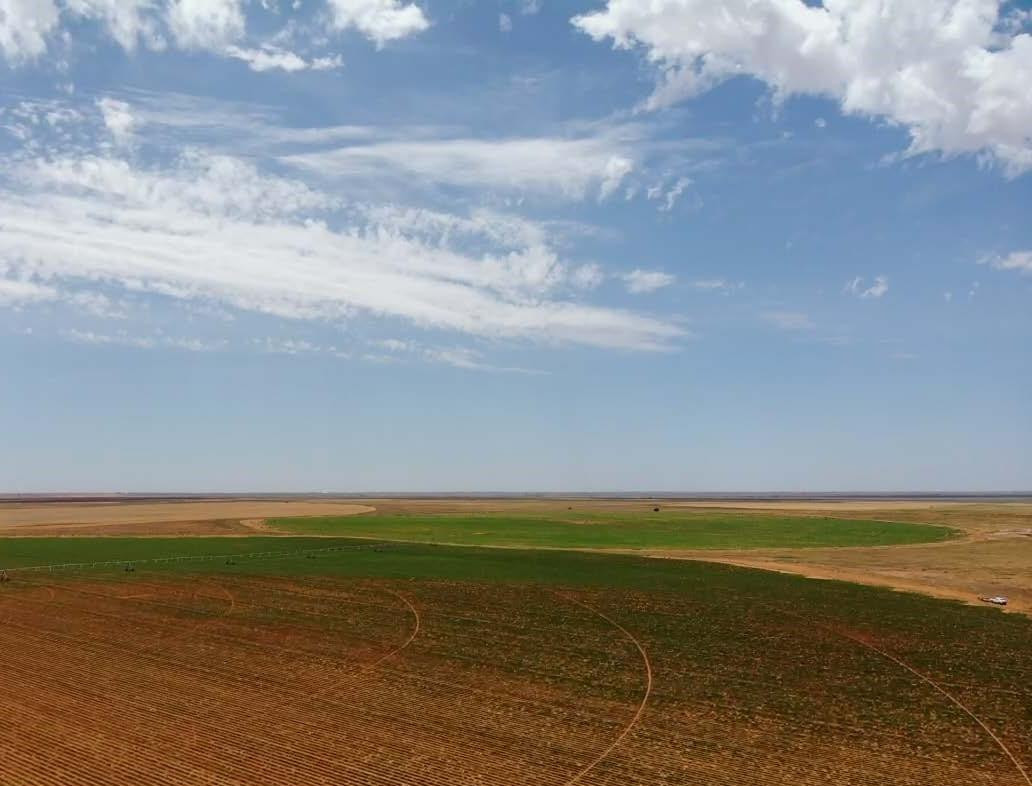 130 Cr Plains, TX 79355 - Photo 2 of 5 a view of an ocean and beach
