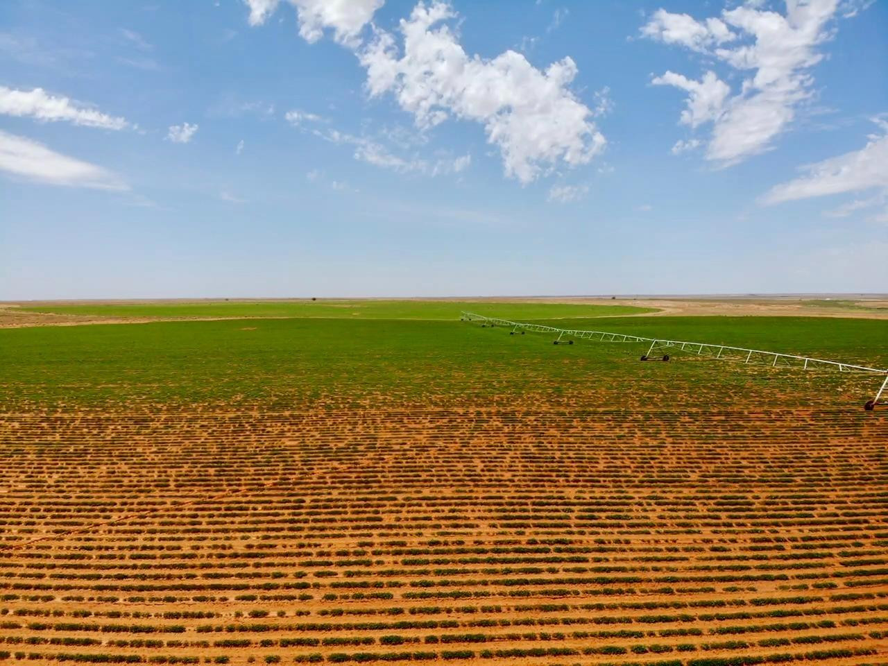 130 Cr Plains, TX 79355 - Photo 4 of 5 a view of an ocean