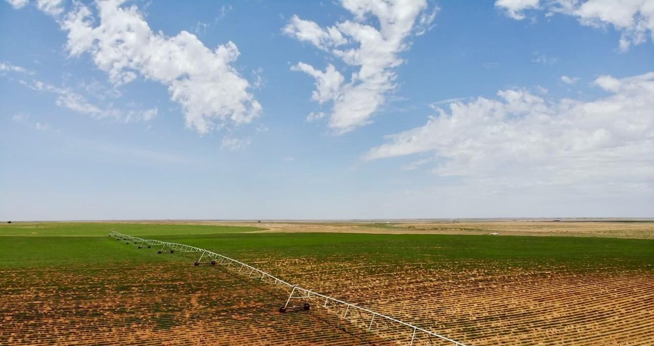 130 Cr Plains, TX 79355 - Photo 5 of 5 a view of a golf course with a yard