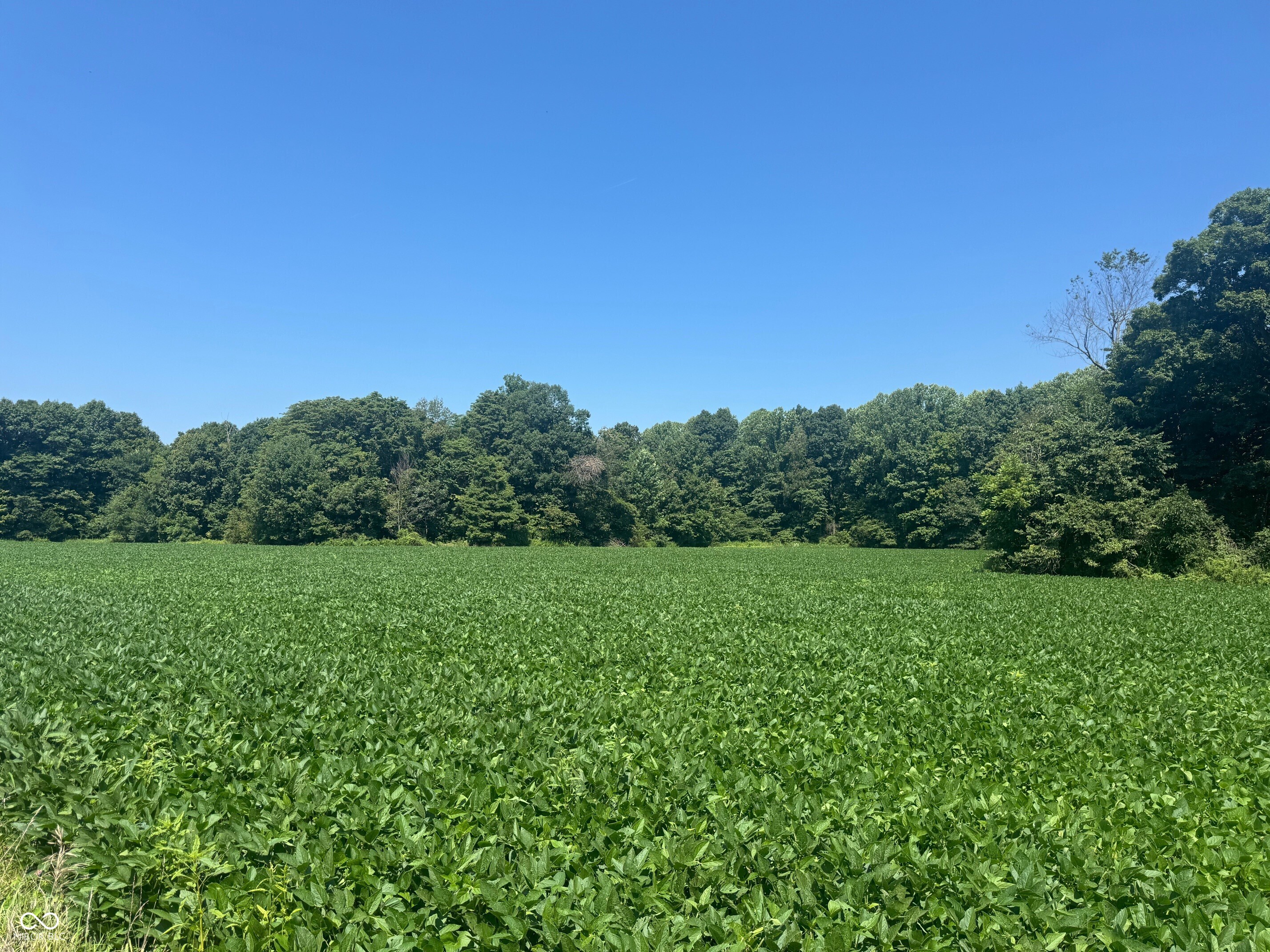 0 Vinzant East Road Brazil, IN 47834 - Photo 1 of 9