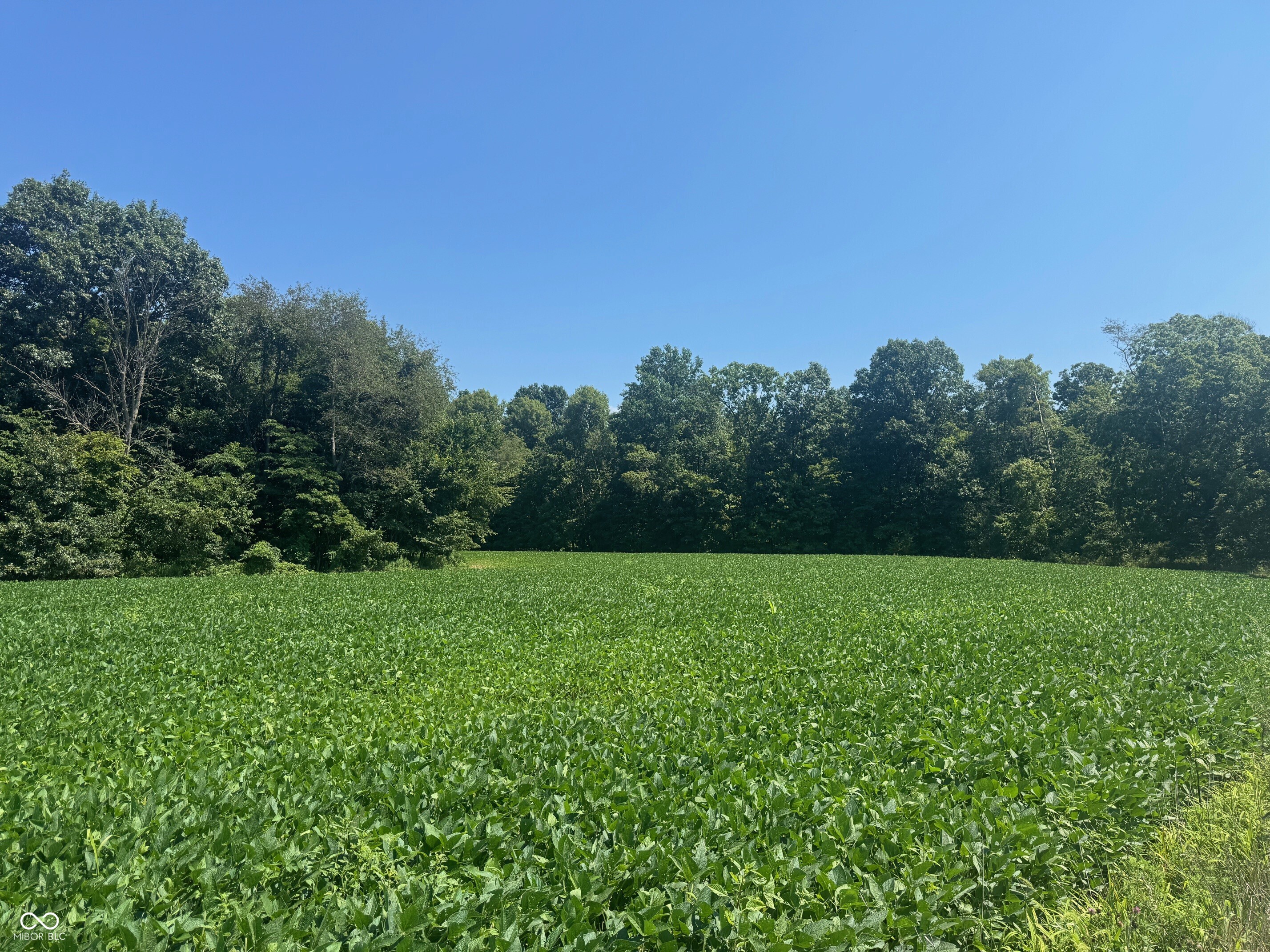 0 Vinzant East Road Brazil, IN 47834 - Photo 2 of 9