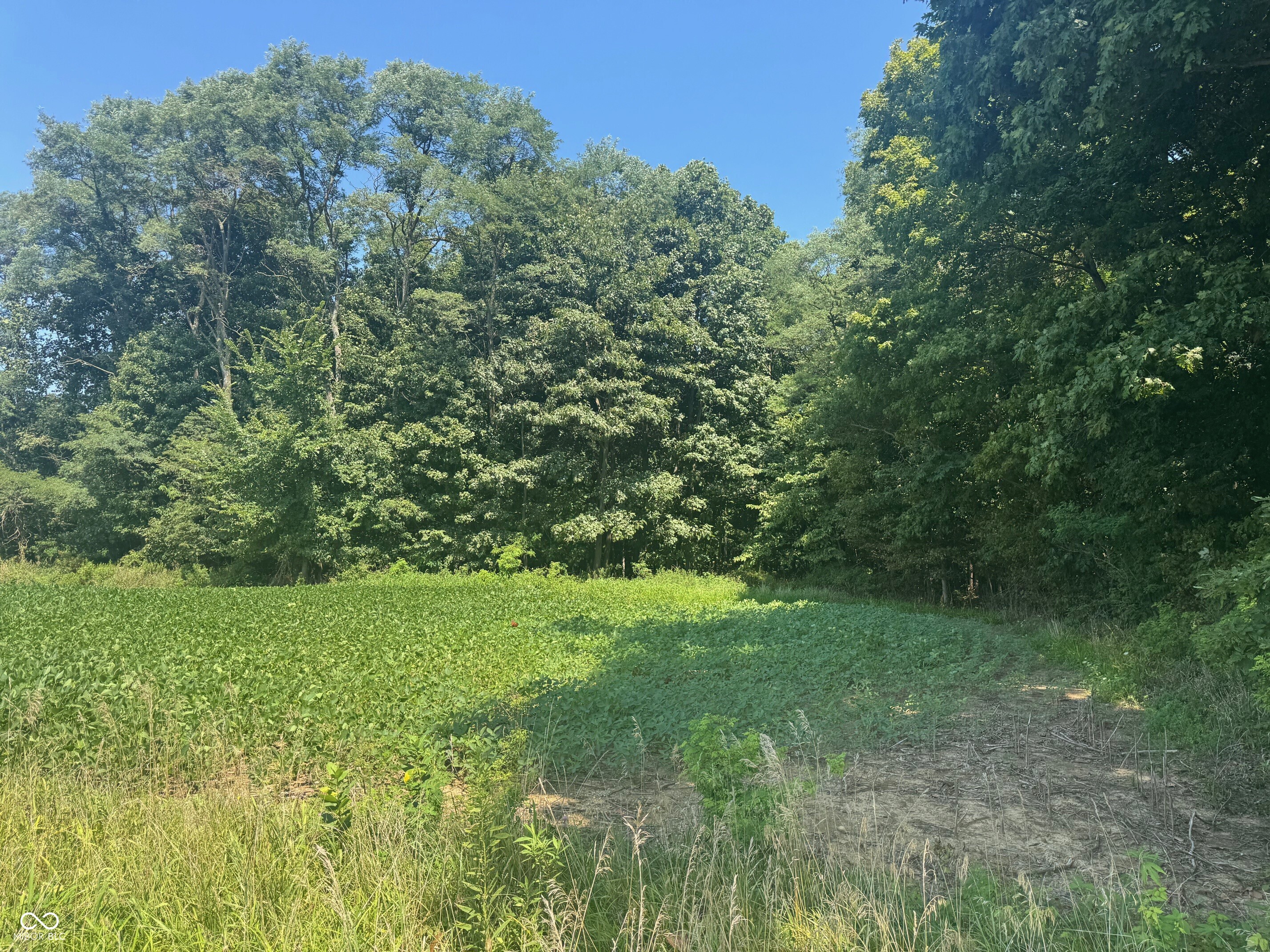 0 Vinzant East Road Brazil, IN 47834 - Photo 3 of 9