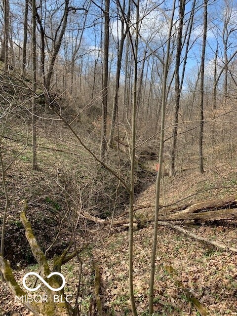 0 Vinzant East Road Brazil, IN 47834 - Photo 4 of 9