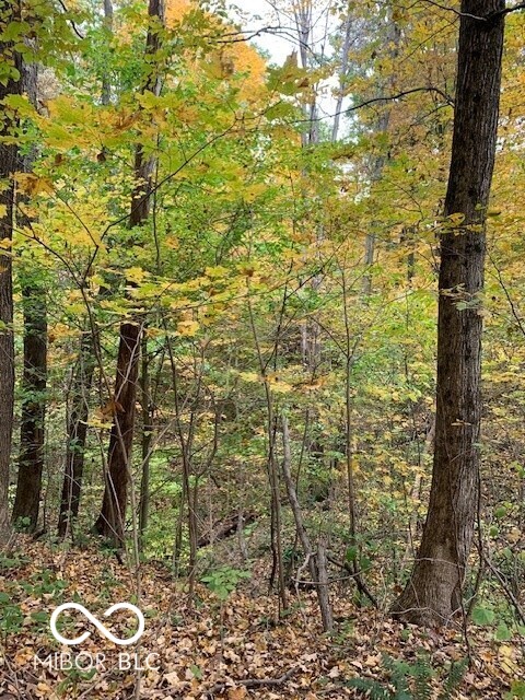 0 Vinzant East Road Brazil, IN 47834 - Photo 5 of 9