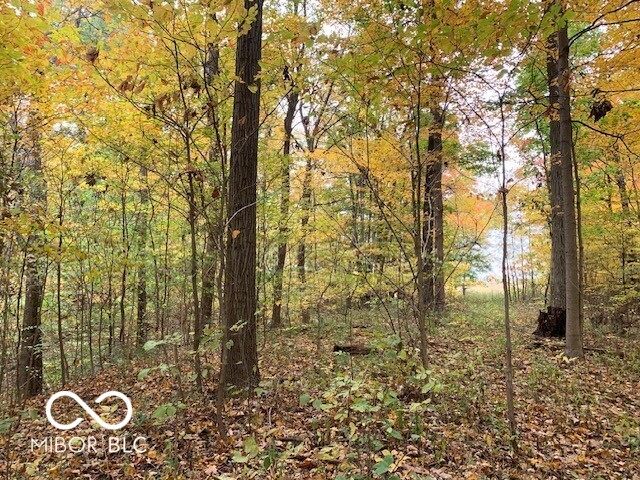 0 Vinzant East Road Brazil, IN 47834 - Photo 7 of 9