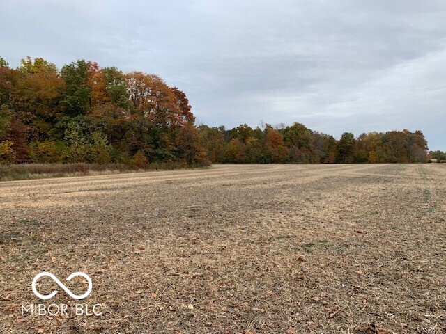 0 Vinzant East Road Brazil, IN 47834 - Photo 8 of 9