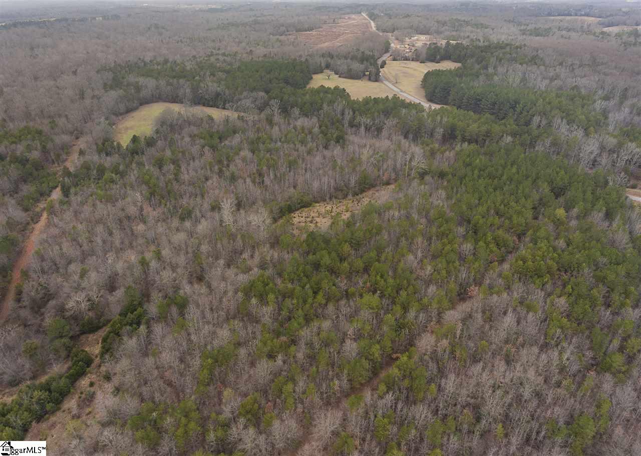 1041 Riddle Town Road Gray Court, SC 29645 - Photo 2 of 16 Gallery Image 2