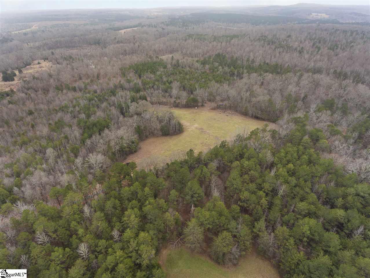1041 Riddle Town Road Gray Court, SC 29645 - Photo 12 of 16 Gallery Image 12