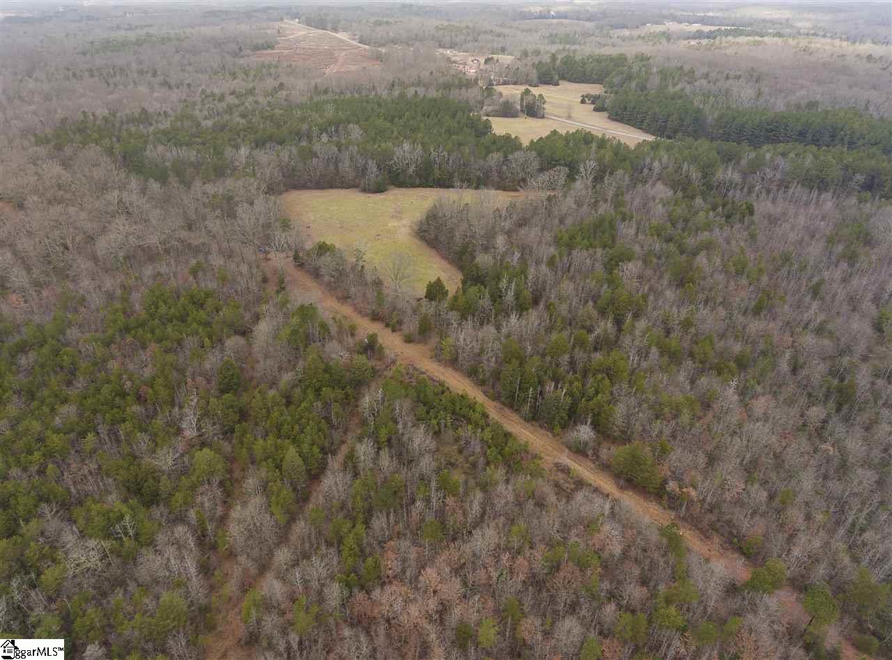 1041 Riddle Town Road Gray Court, SC 29645 - Photo 4 of 16 Gallery Image 4