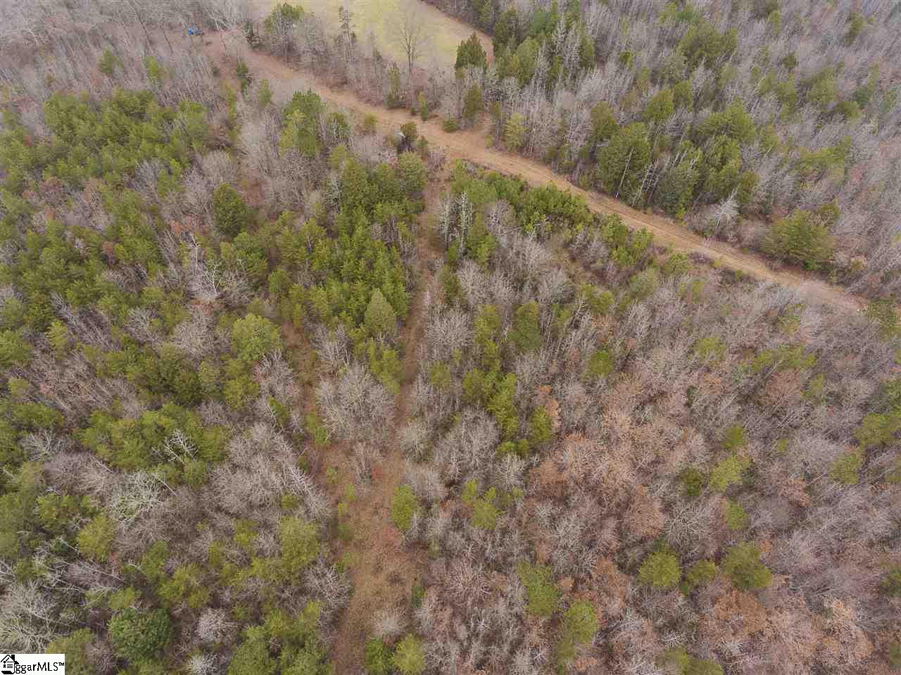 1041 Riddle Town Road Gray Court, SC 29645 - Photo 5 of 16 Gallery Image 5