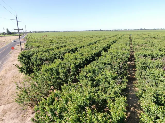 a view of a green field