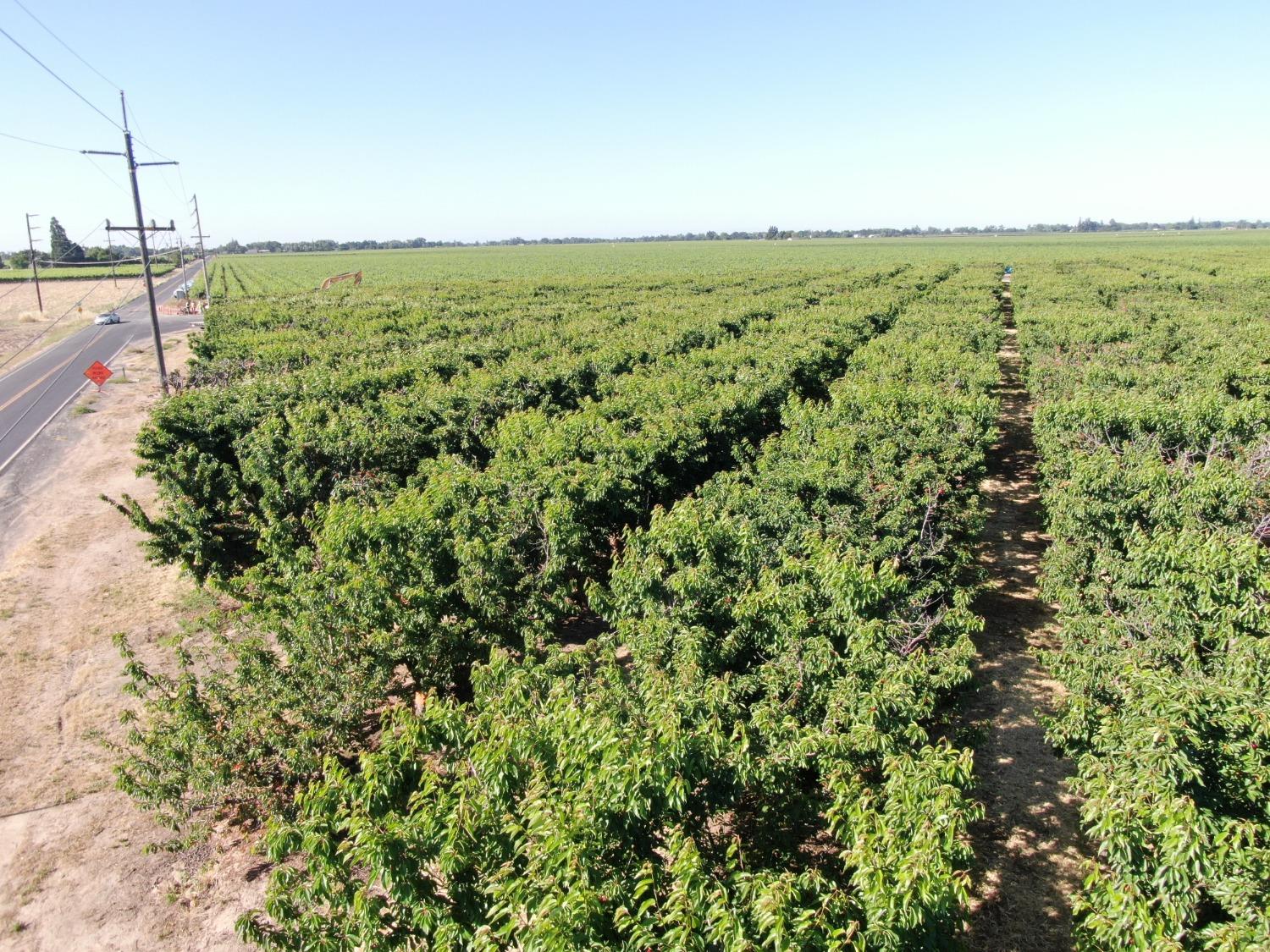 21167 North Tretheway Road Acampo, CA 95220 - Photo 4 of 6 a view of a green field