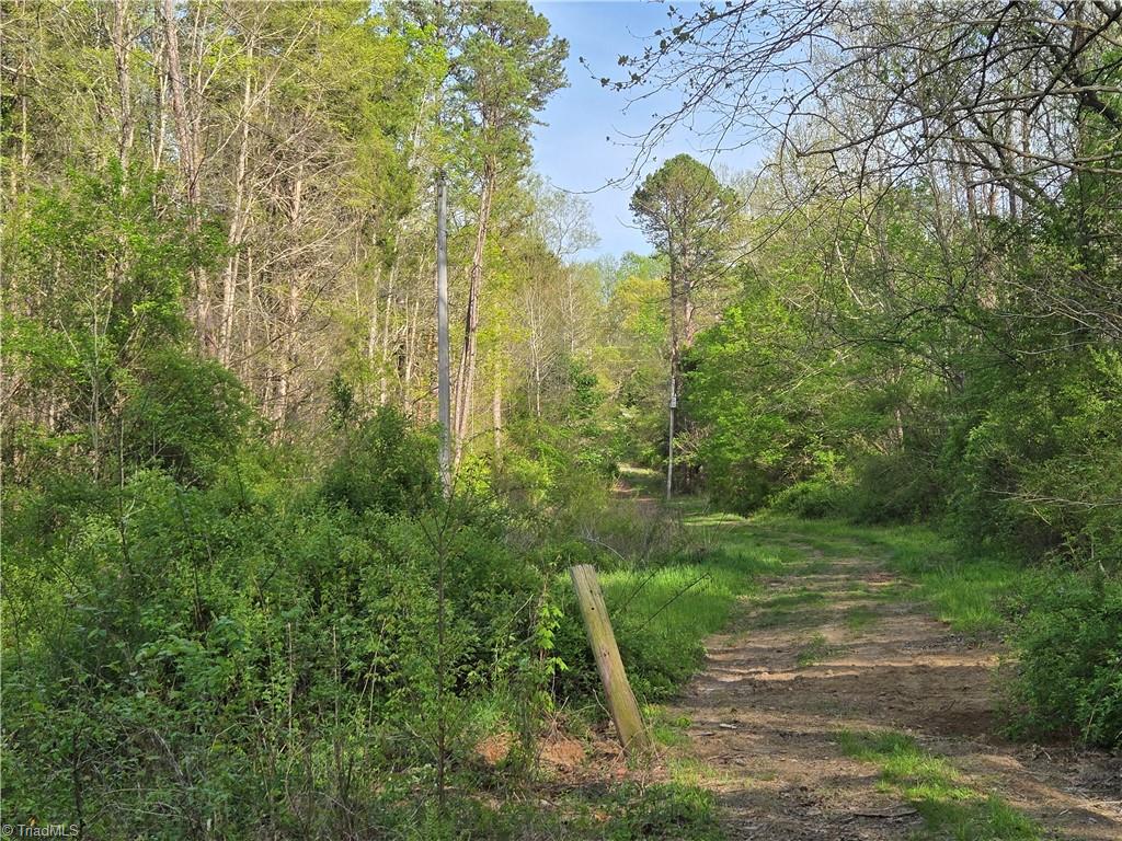 0 Hoover Hill Road Asheboro, NC 27205 - Photo 19 of 29