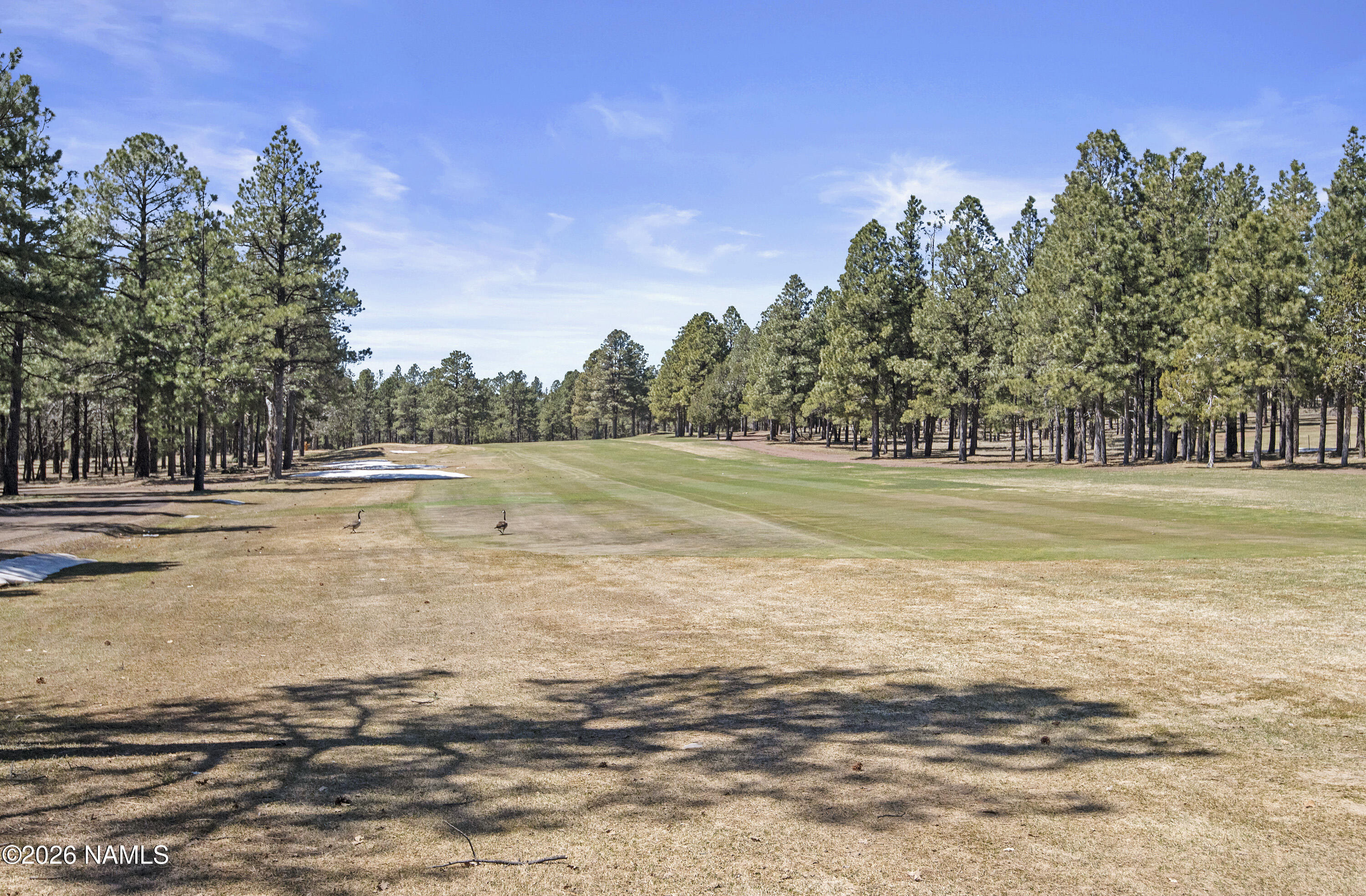600 Brookline Loop Williams, AZ 86046 - Photo 43 of 43 a view of a water fountain with a trees in the background