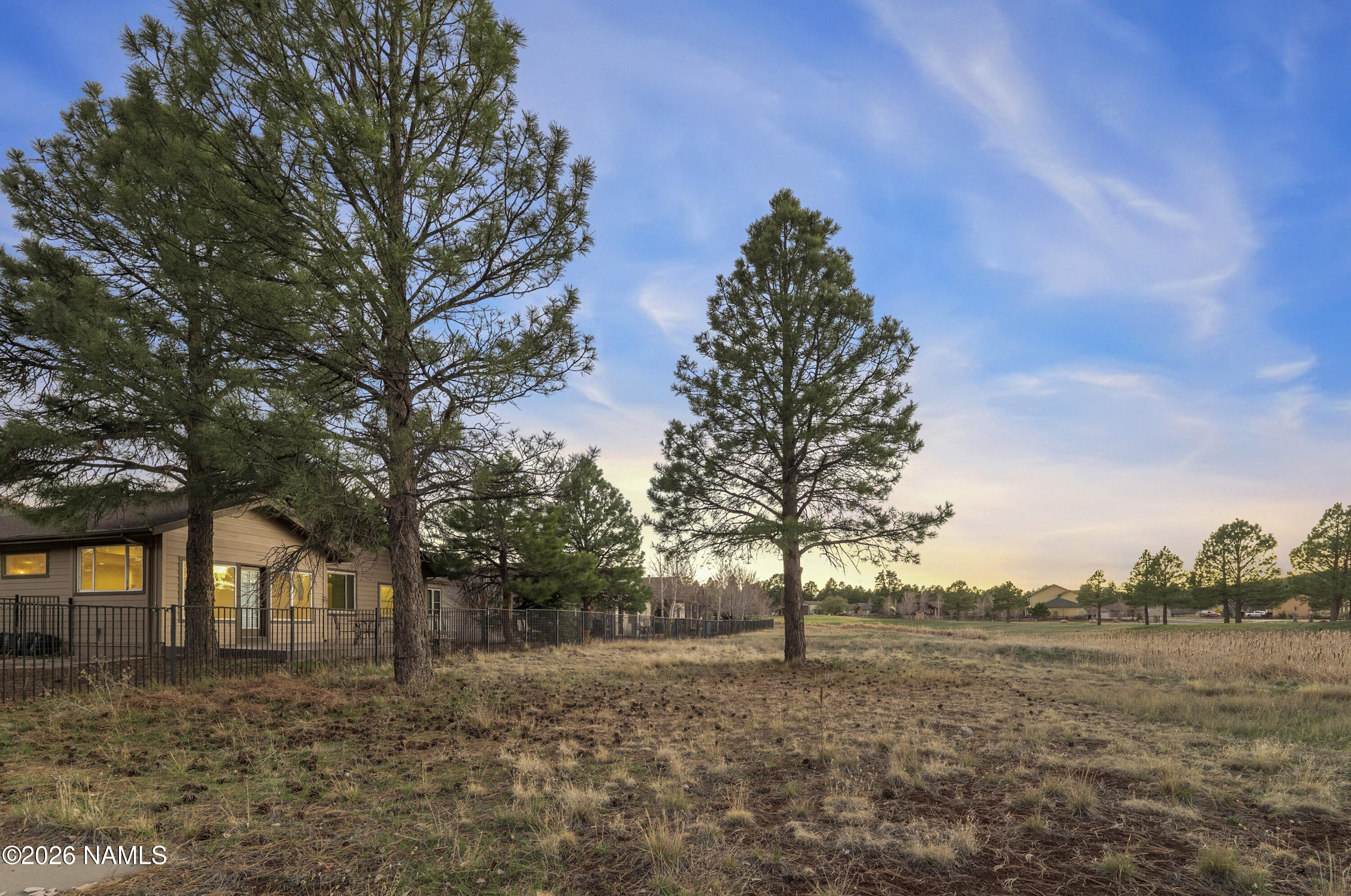600 Brookline Loop Williams, AZ 86046 - Photo 7 of 43 a view of a yard with a tree