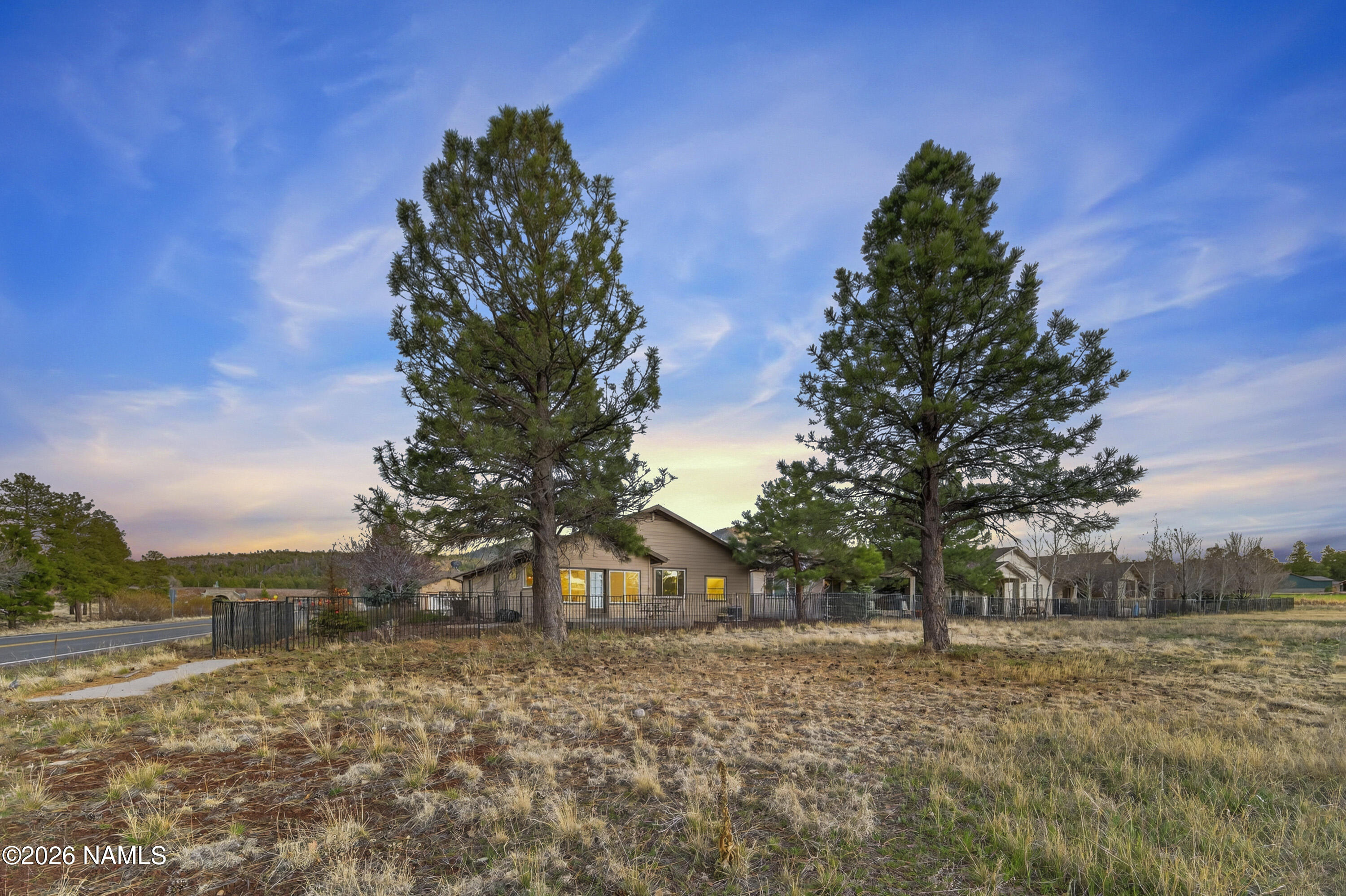 600 Brookline Loop Williams, AZ 86046 - Photo 8 of 43 a tree in a yard of a house