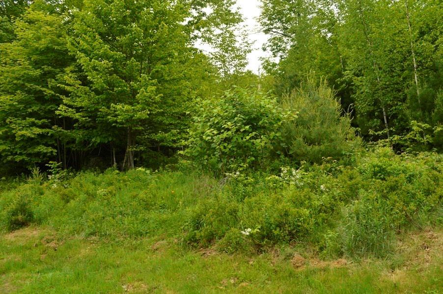 45 Granite Ridge Road New Gloucester, ME 04260 - Photo 35 of 35 Yard