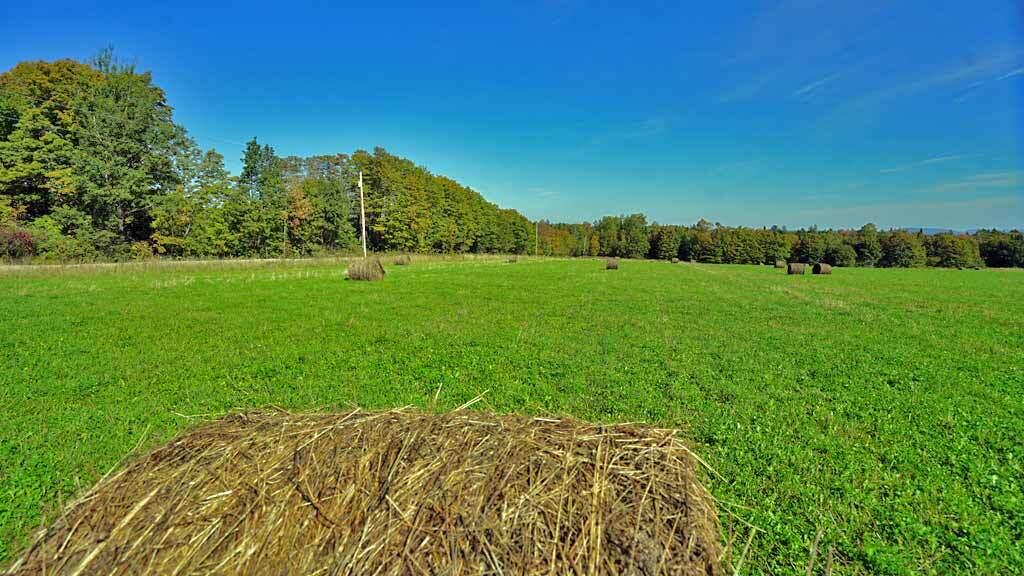799 Clark Road Merrill, ME 04780 - Photo 55 of 55 maine-pasture-land-hay
