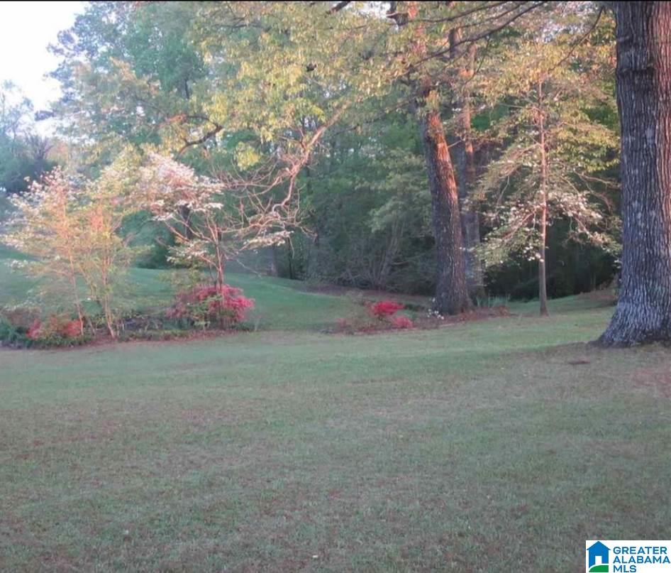 369 Hickory Road Gardendale, AL 35071 - Photo 39 of 41