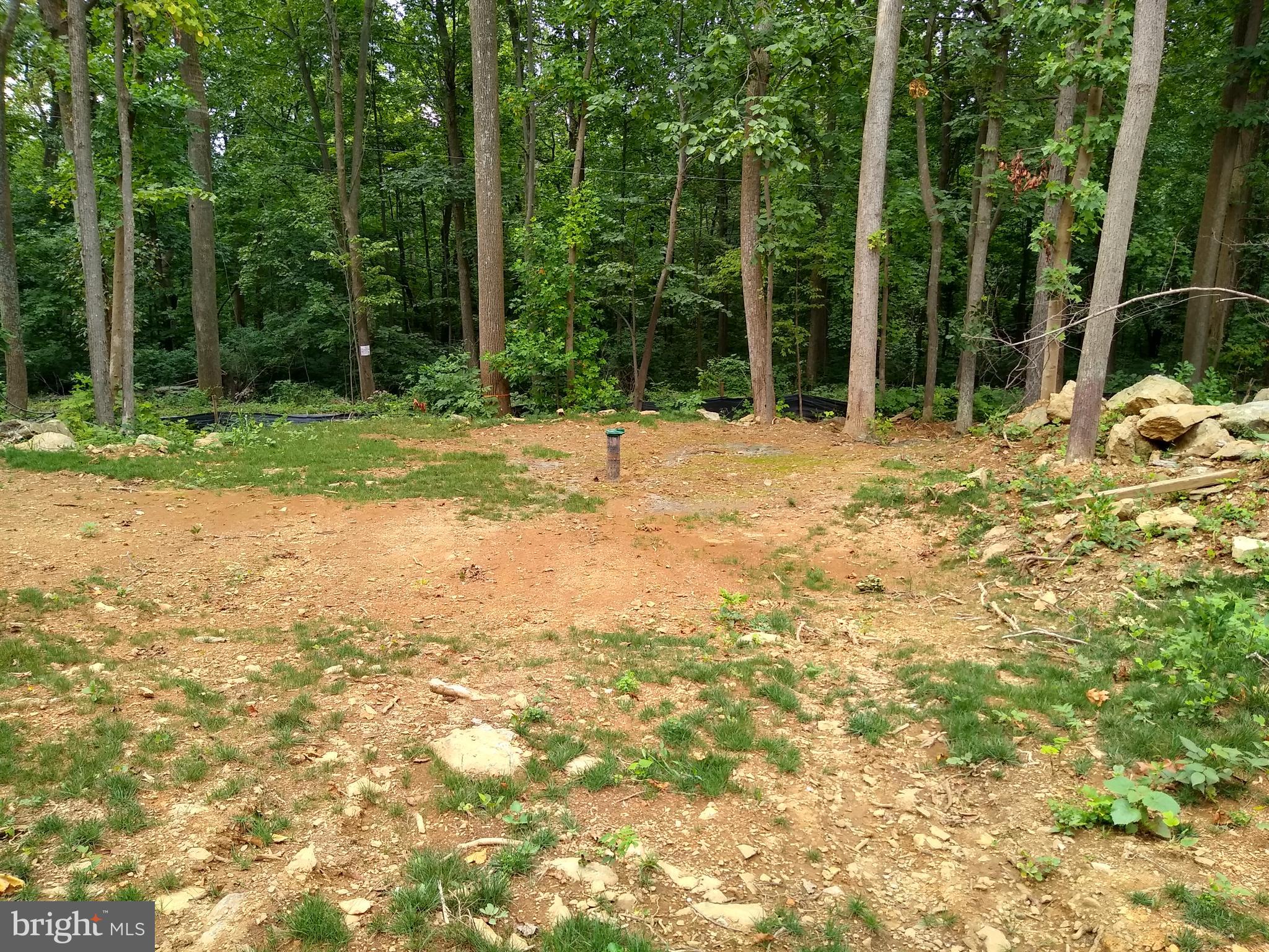 Fire Trail Road Linden, VA 22642 - Photo 2 of 9 Gallery Image 2