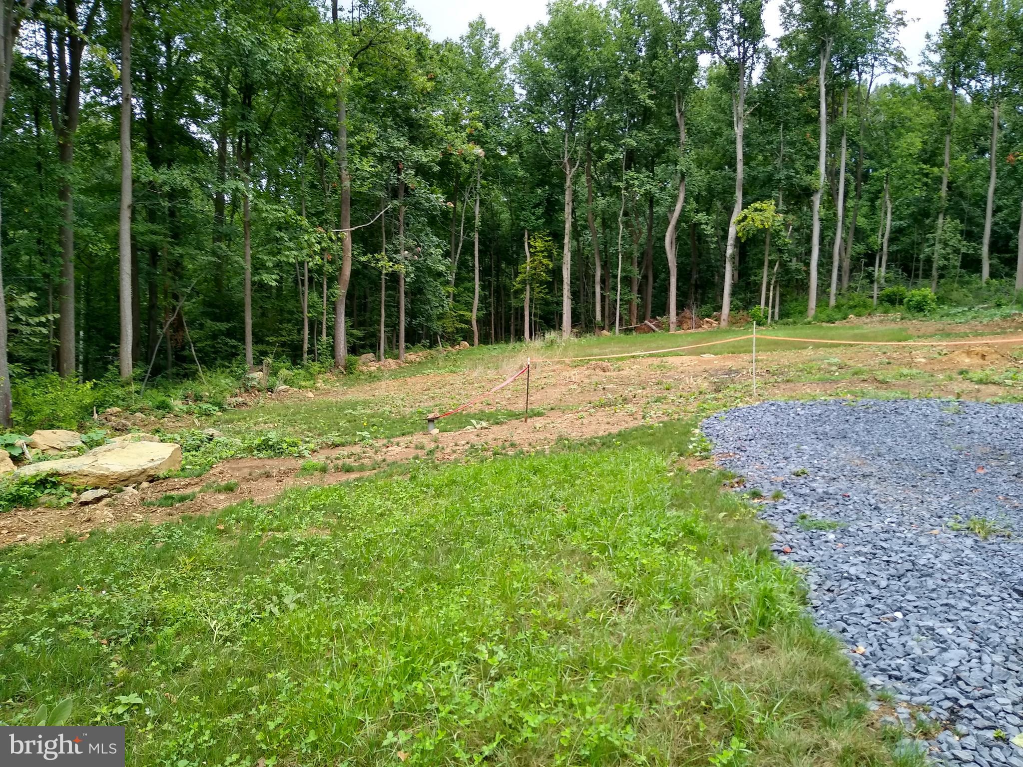 Fire Trail Road Linden, VA 22642 - Photo 4 of 9 Gallery Image 4