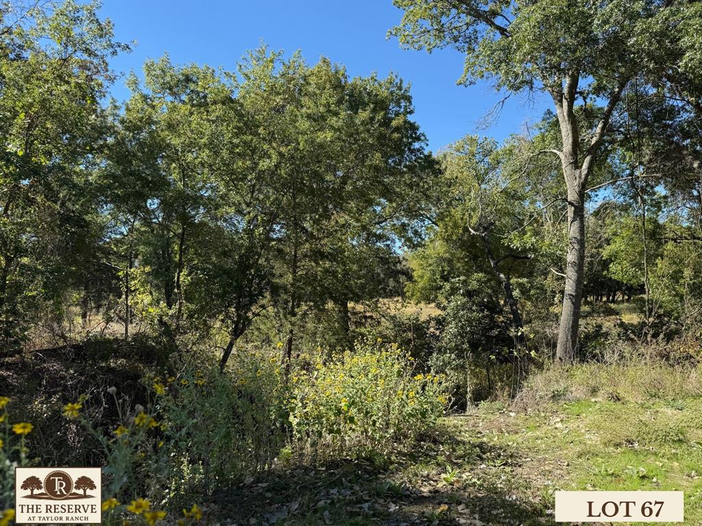 Lot 67 Camden Lane Springtown, TX 76082 - Photo 11 of 22 a view of a tree