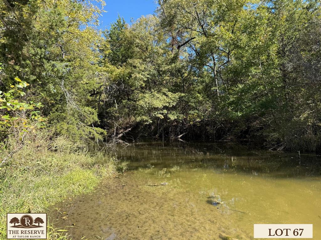 Lot 67 Camden Lane Springtown, TX 76082 - Photo 11 of 28 a view of a lake view