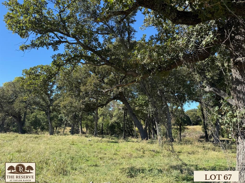 Lot 67 Camden Lane Springtown, TX 76082 - Photo 12 of 28 a backyard of a house with lots of green space