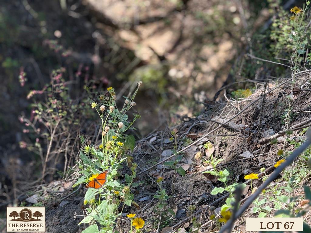 Lot 67 Camden Lane Springtown, TX 76082 - Photo 13 of 22