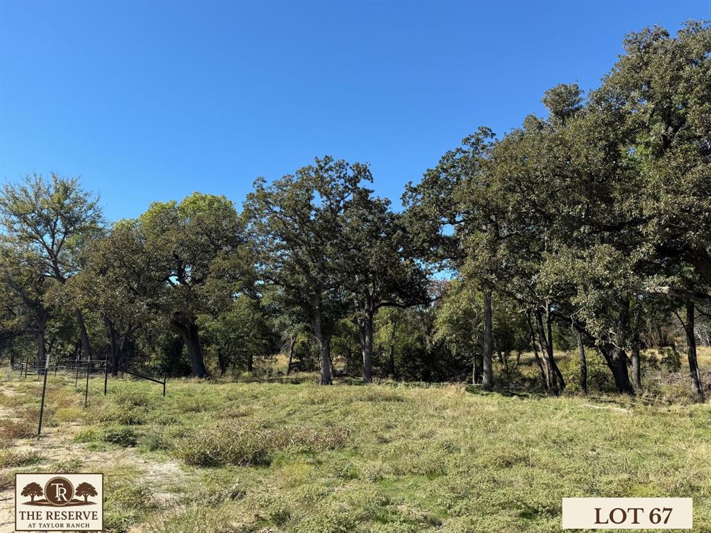Lot 67 Camden Lane Springtown, TX 76082 - Photo 14 of 28 a view of a yard with trees in the background
