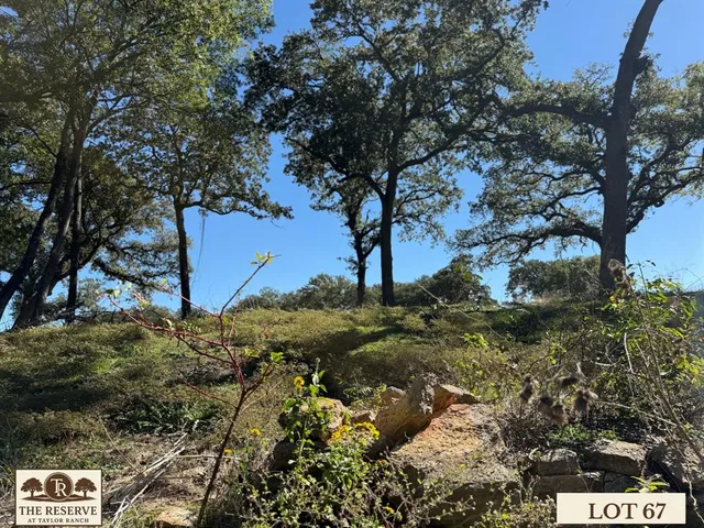 a view of a lake from a yard